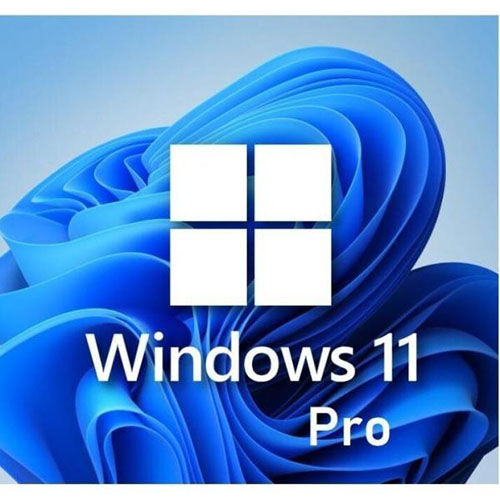 Microsoft Windows 11 Pro ダウンロード版の購入